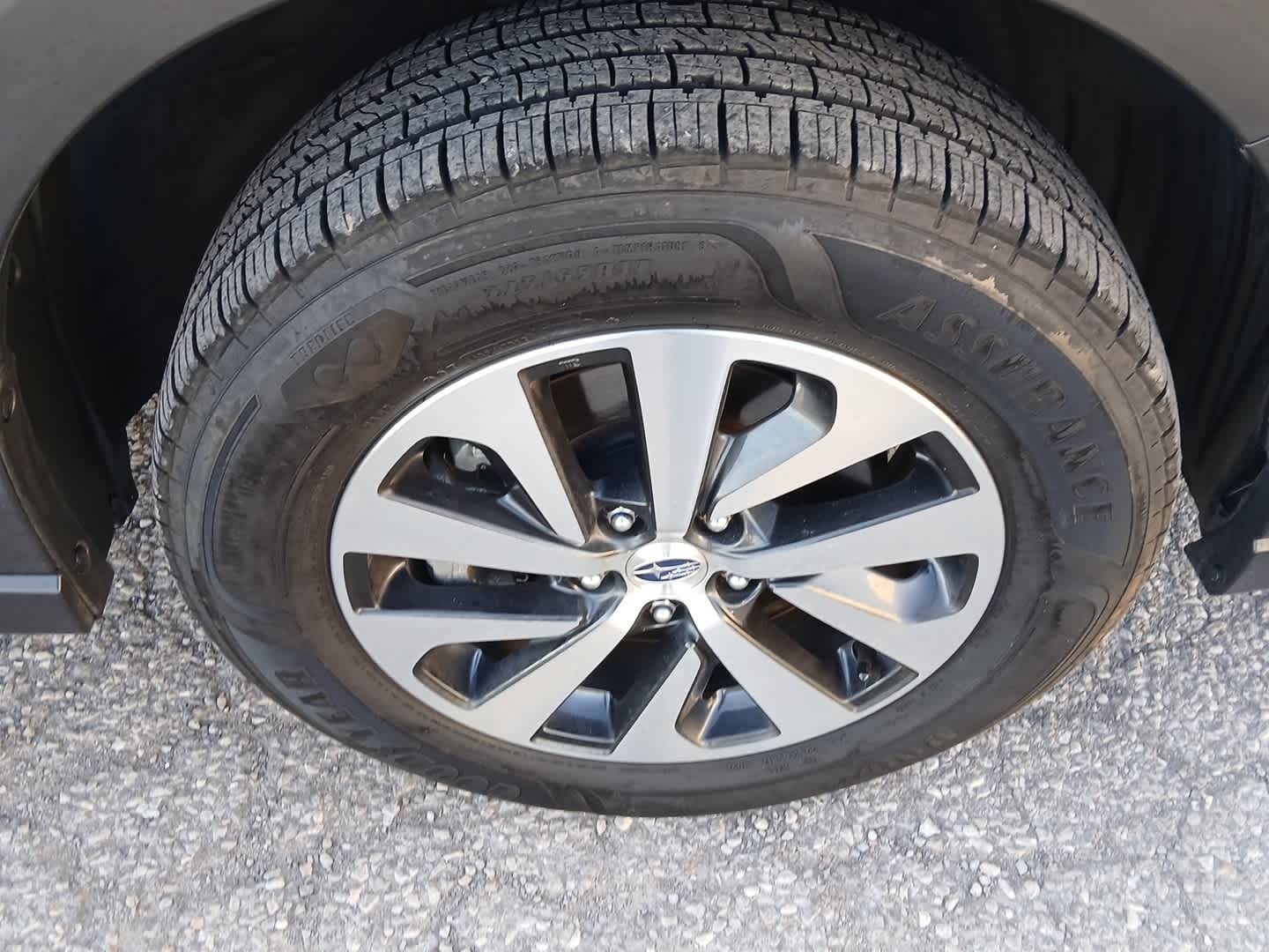 2024 Subaru Outback Premium