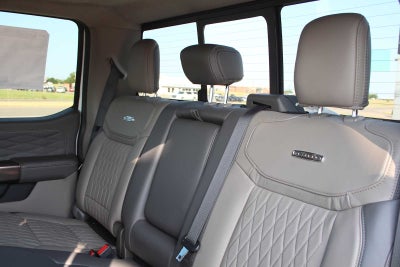 2026 Ford Super Duty F-350 DRW Pickup Platinum